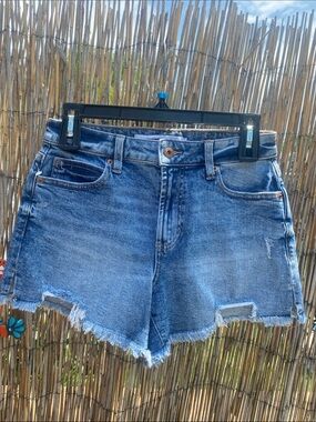 Celebrity Pink cut off shorts
